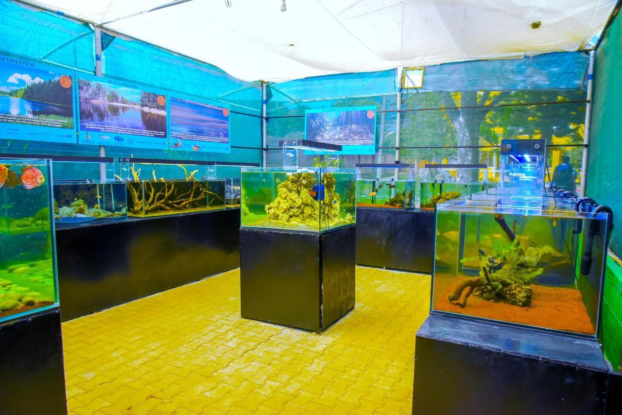 Fundera Aqua Stay Yelagiri Eksteriør billede