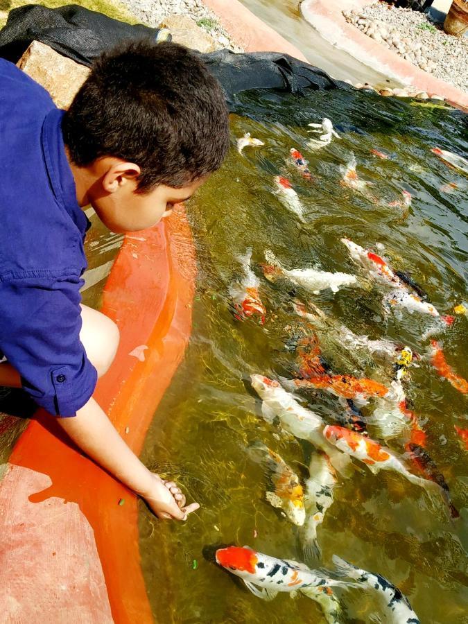 Fundera Aqua Stay Yelagiri Eksteriør billede